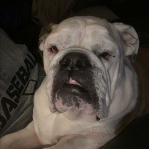 Meet your Posher, Shawn